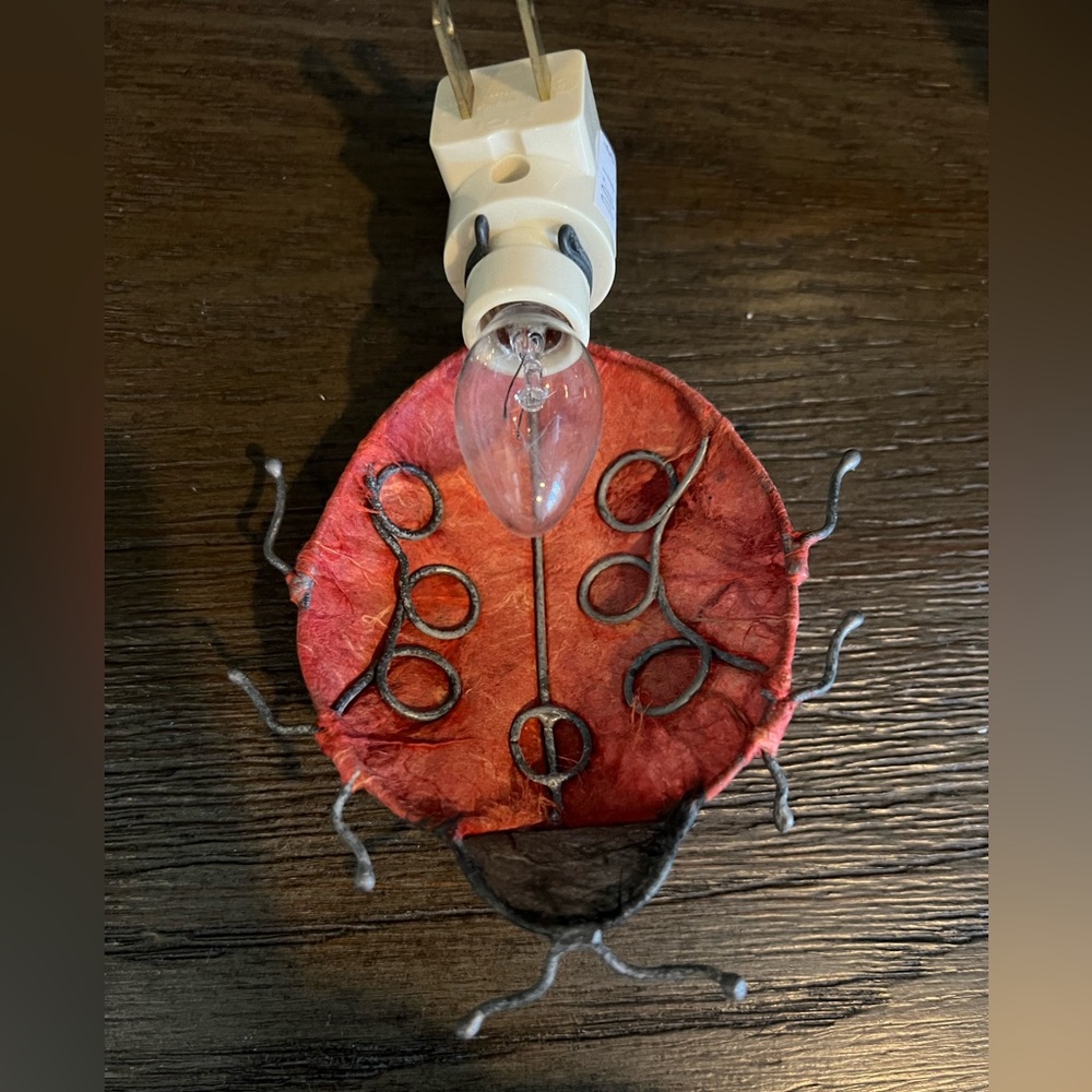 Rustic Whimsical paper-mâché ladybug  🐞 Nightlight - Picture 6 of 6